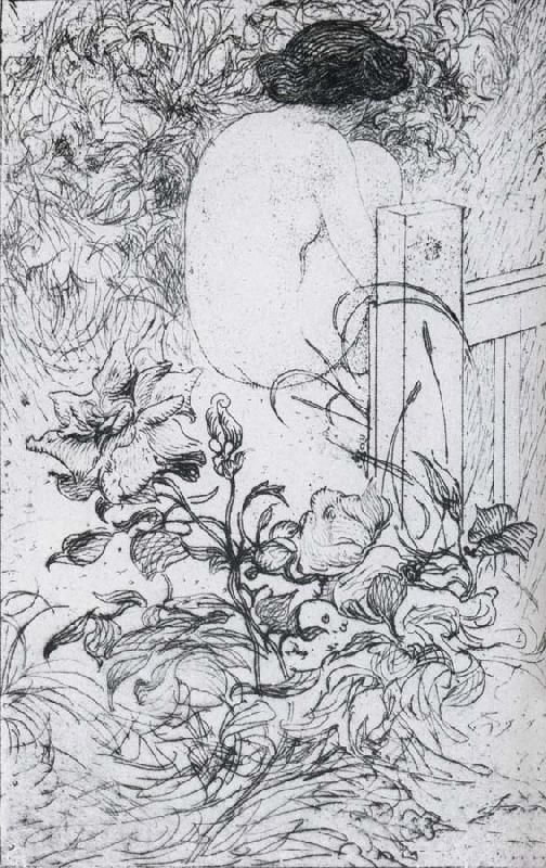 Carl Larsson A Rose and a Back Etching France oil painting art